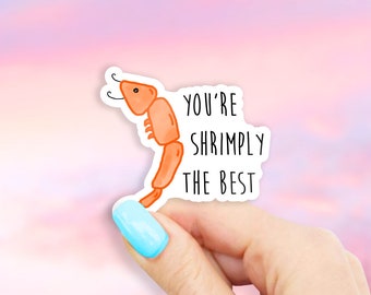You're Shrimply the Best Sticker - MacBook stickers | laptop stickers | waterbottle stickers | hydroflask stickers | tumbler stickers