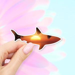 Sunset Palm Shark Sticker - Ocean stickers | Shark stickers | MacBook stickers | laptop stickers | waterbottle stickers | hydroflask sticker
