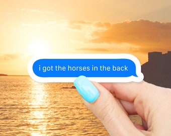 I got the horses in the back Sticker - MacBook stickers | laptop stickers | waterbottle stickers | hydroflask stickers | tumbler stickers