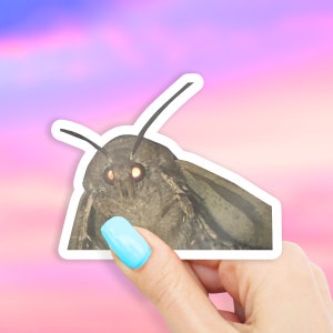 Matte Vinyl Moth Sticker - Laptop, Water Bottle Decal