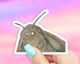 Moth Sticker