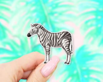 Zebra Sticker - Zoo stickers | Zebra stickers | MacBook stickers | laptop stickers | waterbottle stickers | hydroflask stickers