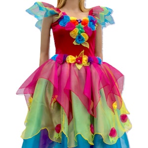 Adult Fairy Dress Costume Plus Size Women&#39;s Fairy Dress Rainbow Adult Plus Size Fairy Dress Fairy Dress For Adults Pink Poppy Rainbow