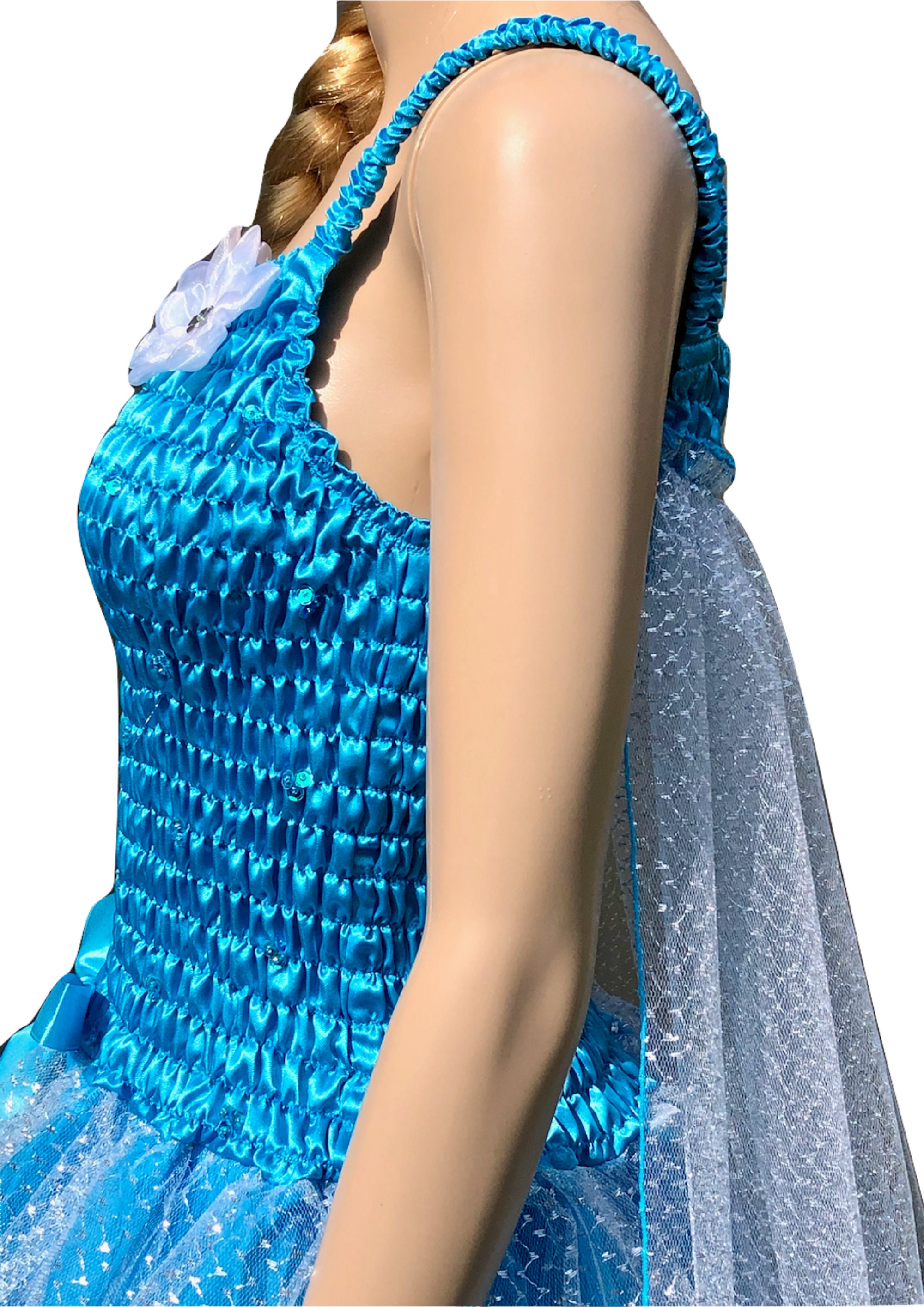 Amazon.com: Disney Women's Elsa Prestige Adult Costume, Blue, Medium :  Clothing, Shoes & Jewelry