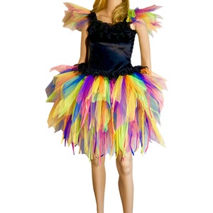 Women&#39;s Adult Fairy Dress Costume Rainbow Black Velvet Carnival