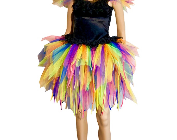 Women's Adult Fairy Dress Costume Rainbow Black Velvet Carnival