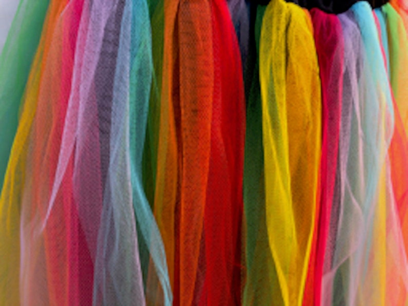Women/'s Adult Fairy Dress Costume Plus Size Rainbow Fuchsia