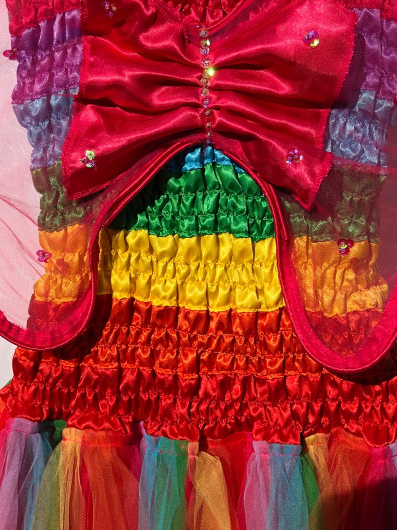 Women/'s Adult Fairy Dress Costume Plus Size Rainbow Fuchsia