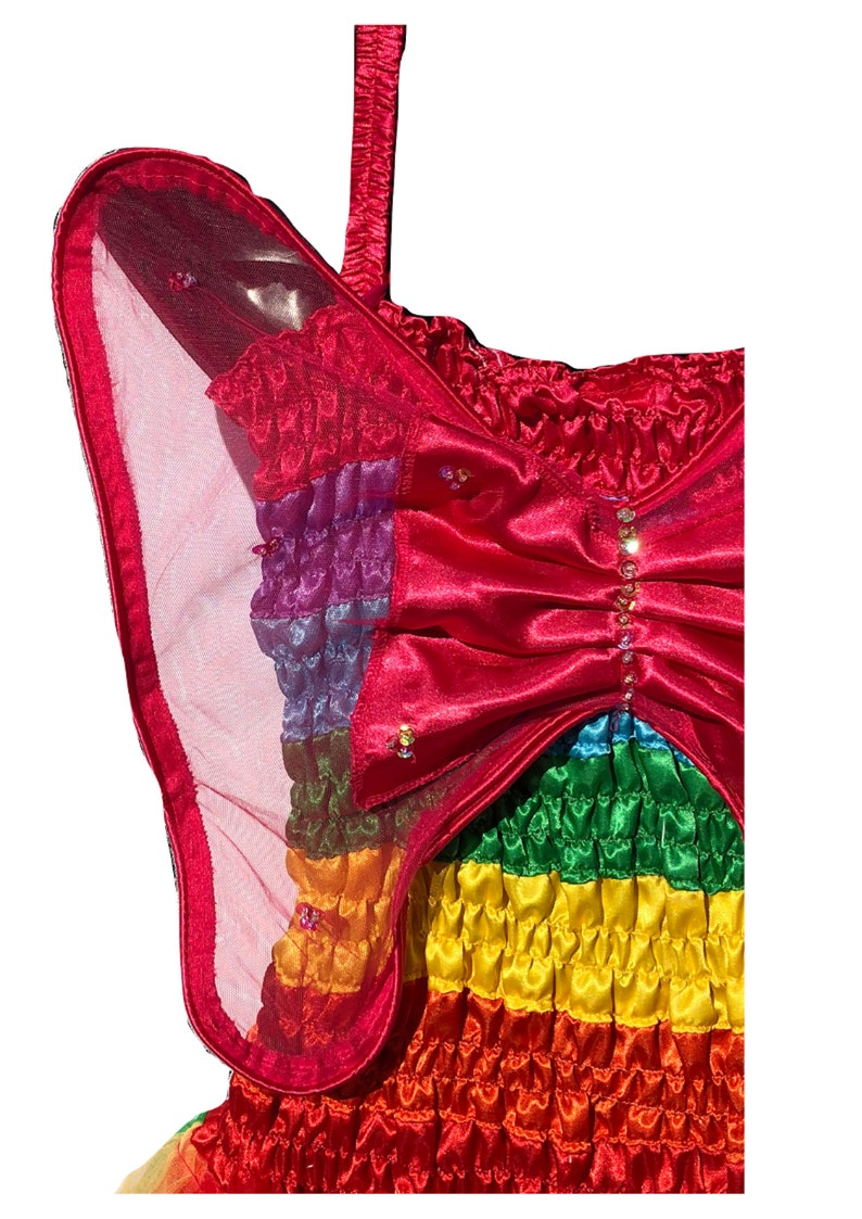 Women/'s Adult Fairy Dress Costume Plus Size Rainbow Fuchsia