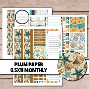 May include: A collection of planner stickers with a beach theme. The stickers feature starfish, seashells, and sand in shades of blue, tan, and brown. The text "PLUM PAPER 8.5x11 MONTHLY" is displayed on the bottom. Includes stickers for the month of June.