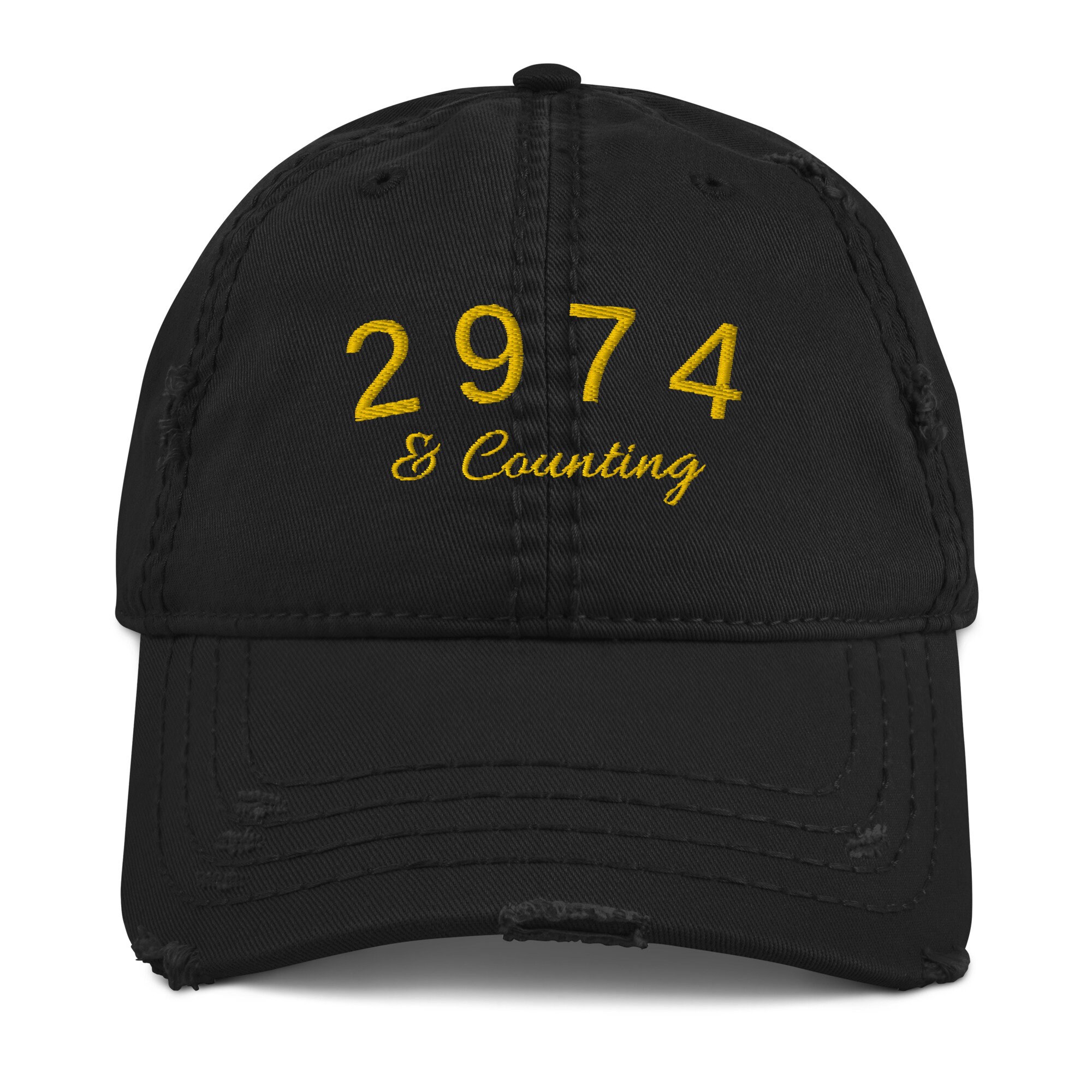 Distressed Dad Hat Stephen Curry 