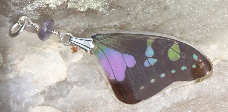Sterling Silver Purple Graphium Butterfly Wings Tanzanite accent Real Butterfly Wing Pendant /& Necklace Set