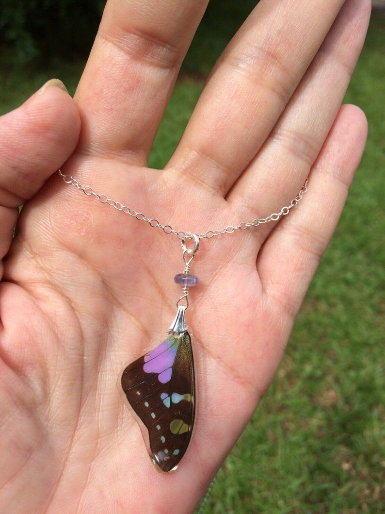 Sterling Silver Purple Graphium Butterfly Wings Tanzanite accent Real Butterfly Wing Pendant /& Necklace Set
