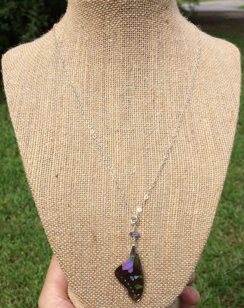 Sterling Silver Purple Graphium Butterfly Wings Tanzanite accent Real Butterfly Wing Pendant /& Necklace Set