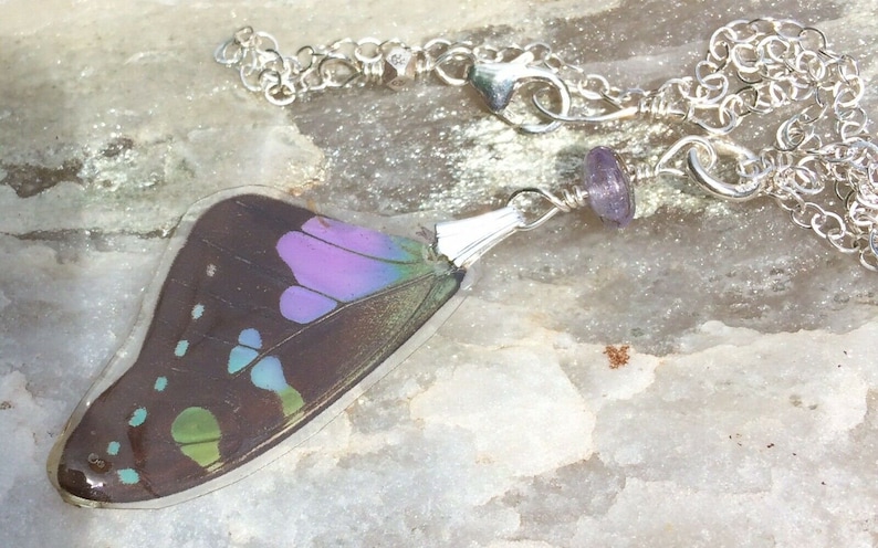 Sterling Silver Purple Graphium Butterfly Wings Tanzanite accent Real Butterfly Wing Pendant /& Necklace Set