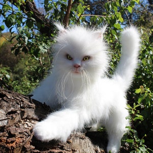 May include: A white fluffy cat with bright yellow eyes sits on a tree branch. The cat has a long tail and is looking directly at the camera.