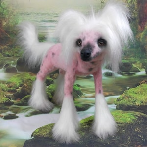 Realistic animal Adele chinese crested dog, Collectible toy dog Realistic toy dog Toy dog fur real Realistic plush Collectible stuffed Gifts