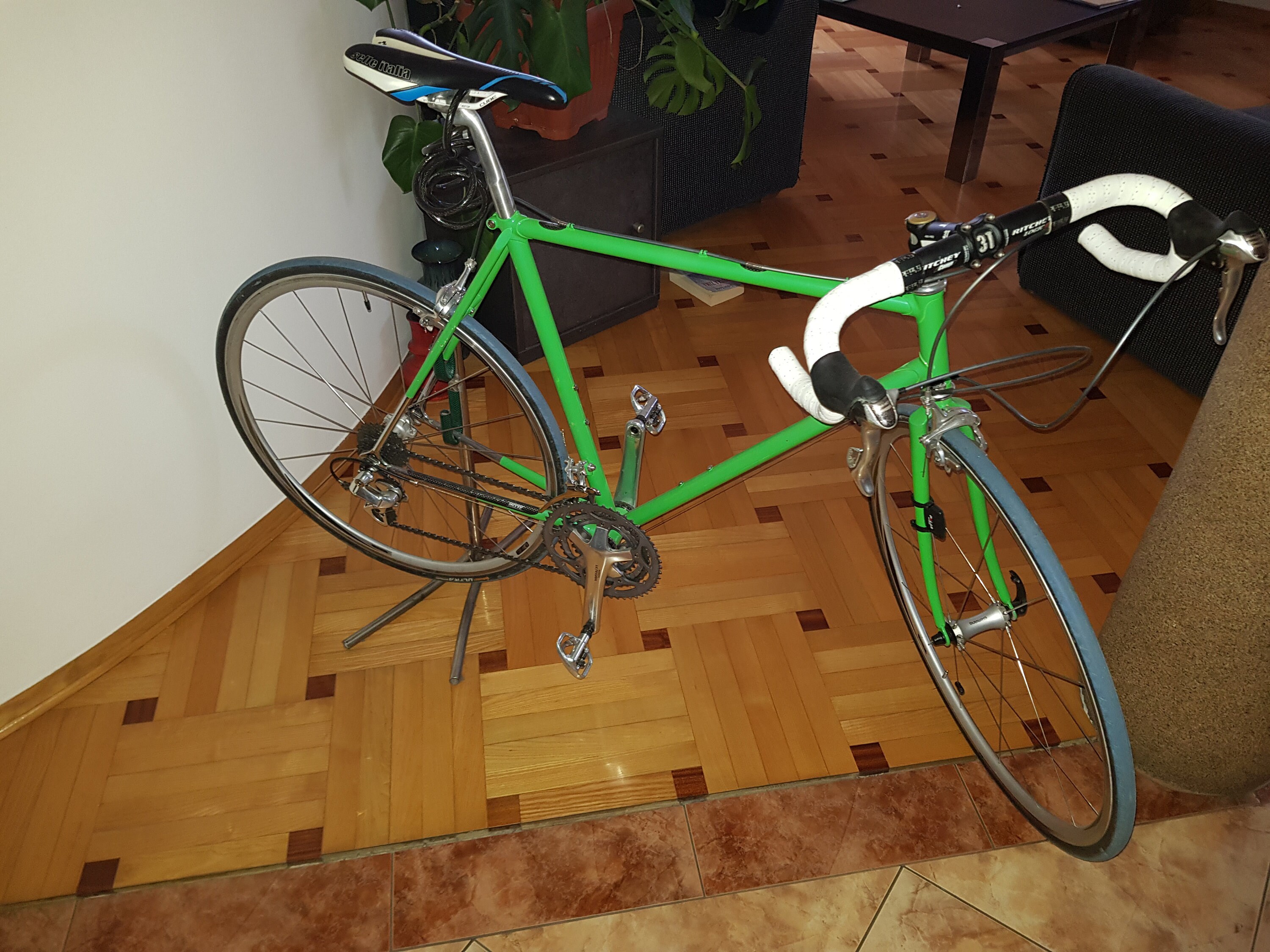 raleigh green paint