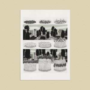 Crown Shyness 3/5 - Illustration Giclée Art Print