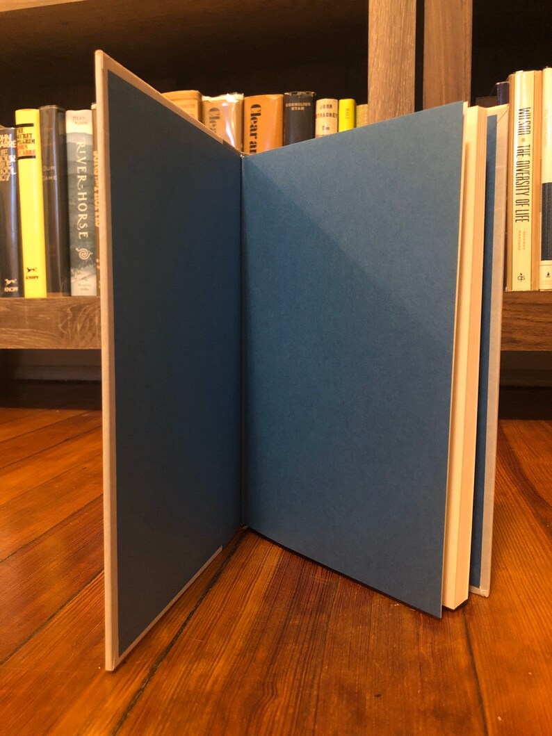 The Ink-keepers Apprentice by Allen Say, Houghton Mifflin Company, 1994, first printing of this edition, signed with a doodle image 7