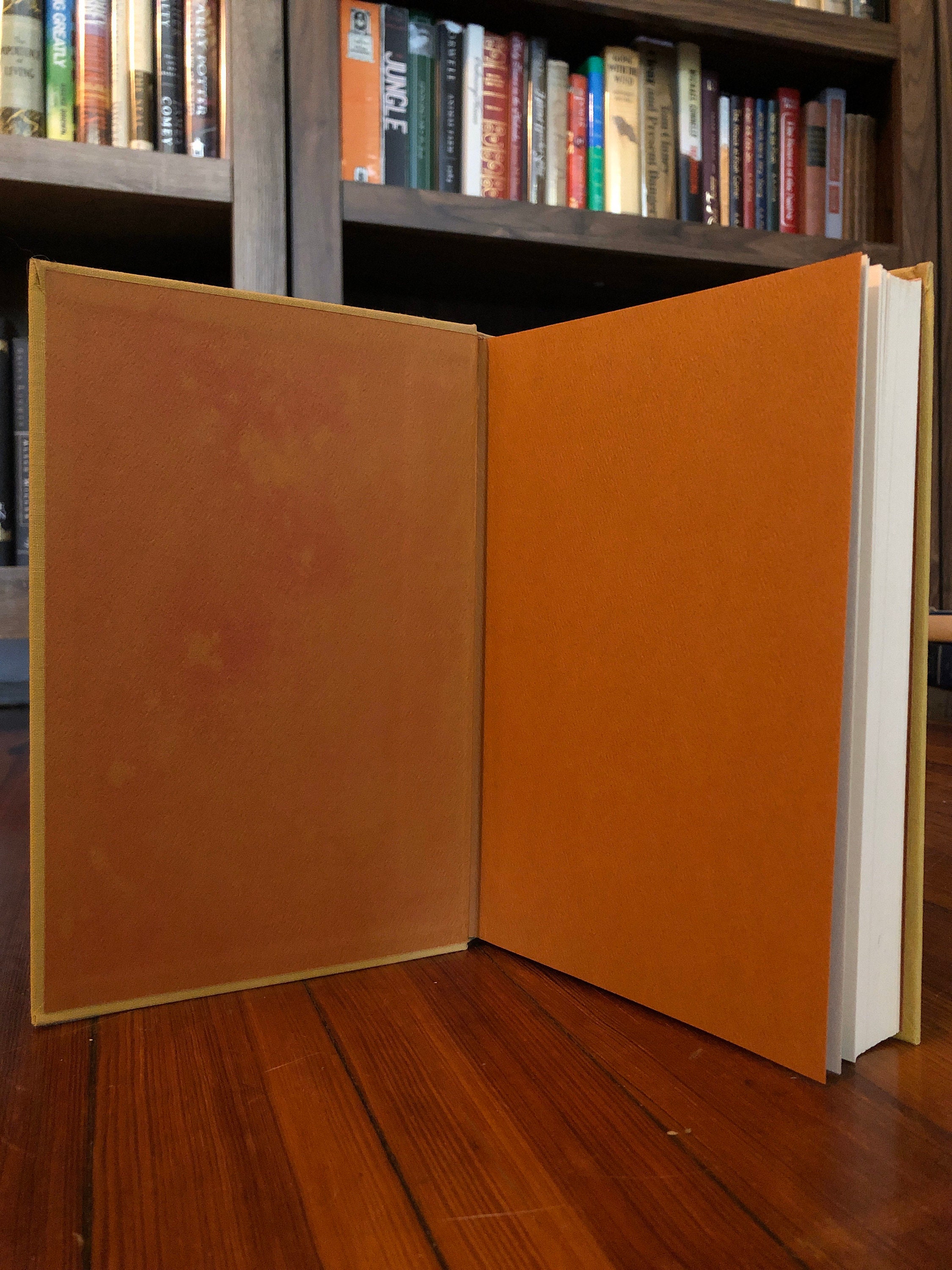 Local Anaesthetic A Novel by Gunter Grass First U.S. Etsy