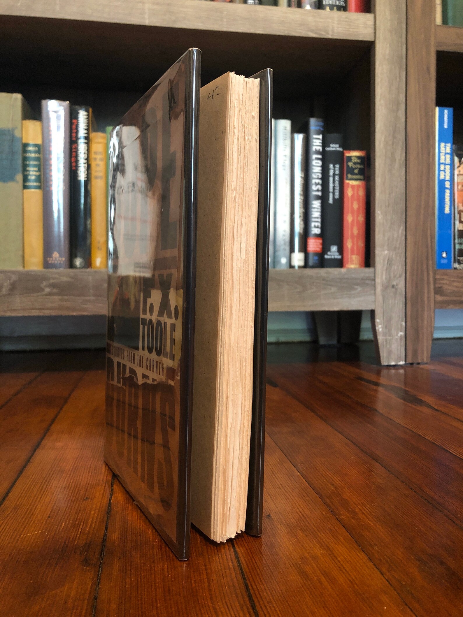 Rope Burns Stories from the Corner de F.X. Toole First Etsy