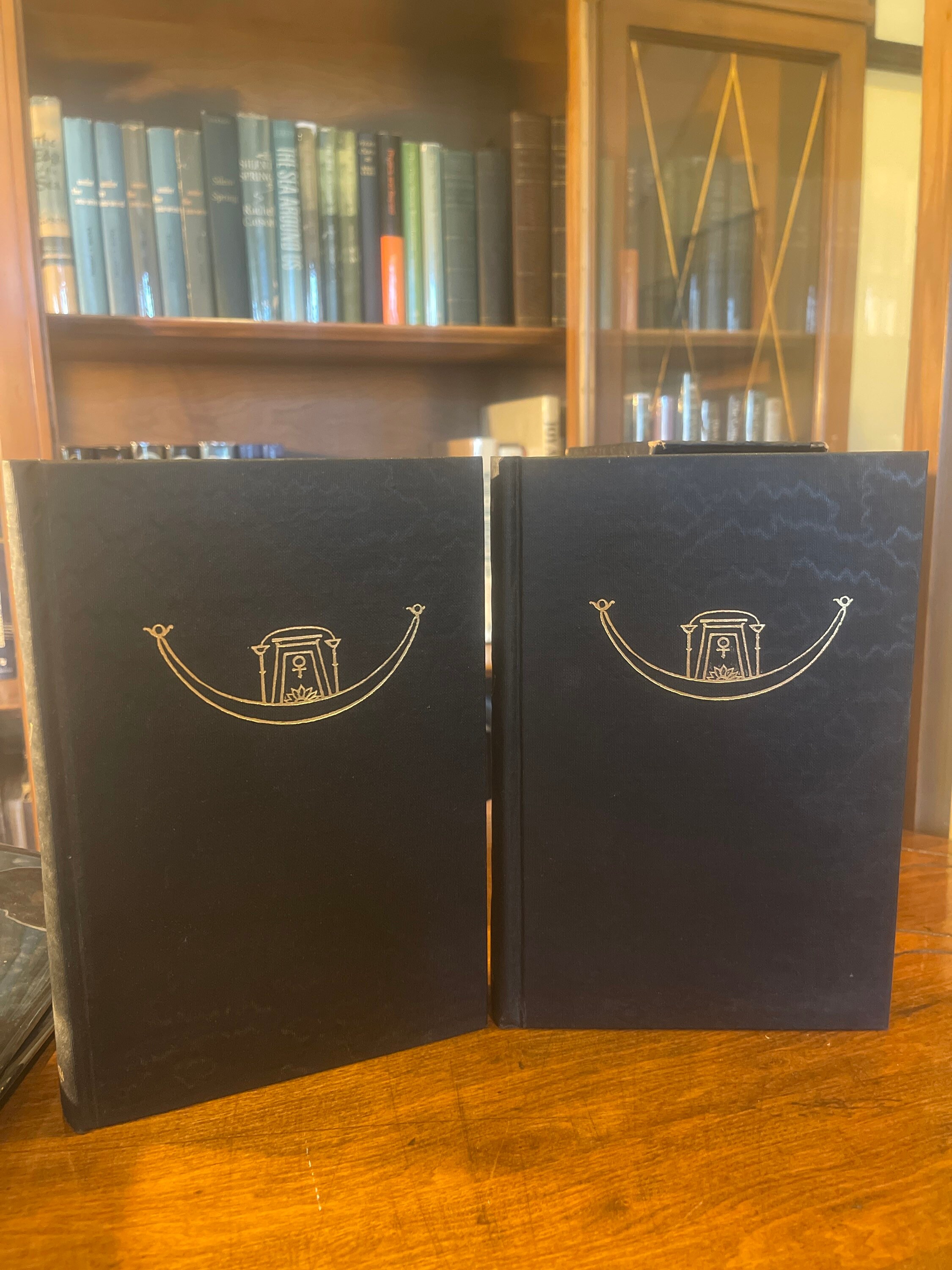 The Celestial Ship of the North Volume 1&2 by E. Valentia