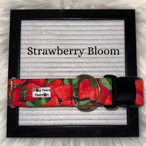 Strawberry Dog Collar, Fruit Dog Collar, Summer Dog Collar