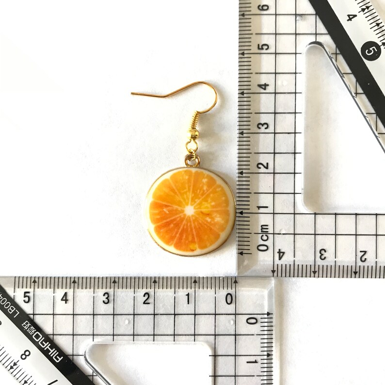 Orange Fruit Earrings Etsy