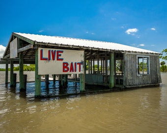 Bait Shack (digital)