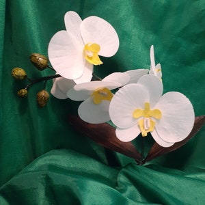 Wafer Paper Orchid