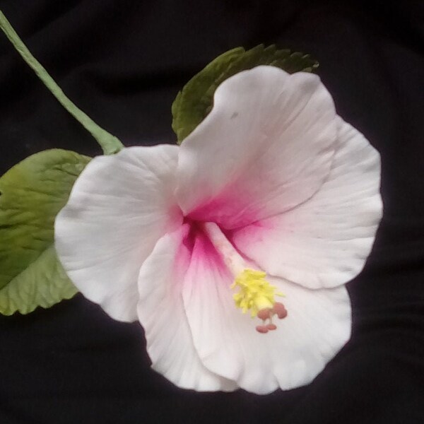 Gumpaste Hibiscus Etsy