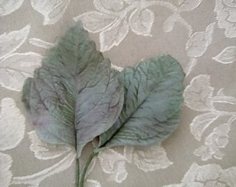 Gumpaste or Wafer Paper Hydrangea Leaves