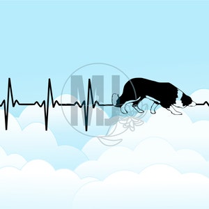 Border Collie Heartbeat Heart Beat digitale SVG, dxf, eps, jpg, png illustraties downloaden