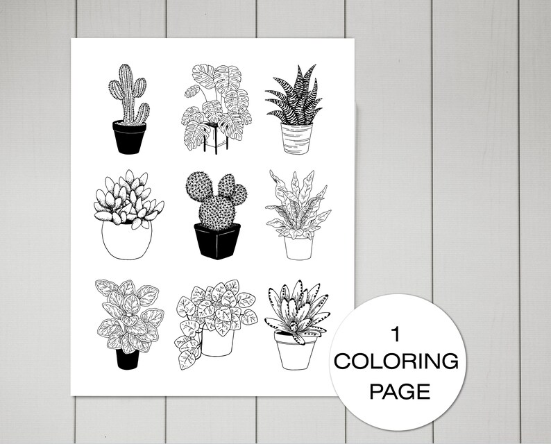 Download Botanical Adult Coloring Books. Coloring Page PDF. Flower | Etsy