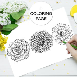 Botanical Adult Coloring Books. Coloring Page PDF. Flower Coloring Pages. Printable Color Book