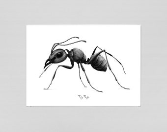 Hyperrealism ant - A3 art print