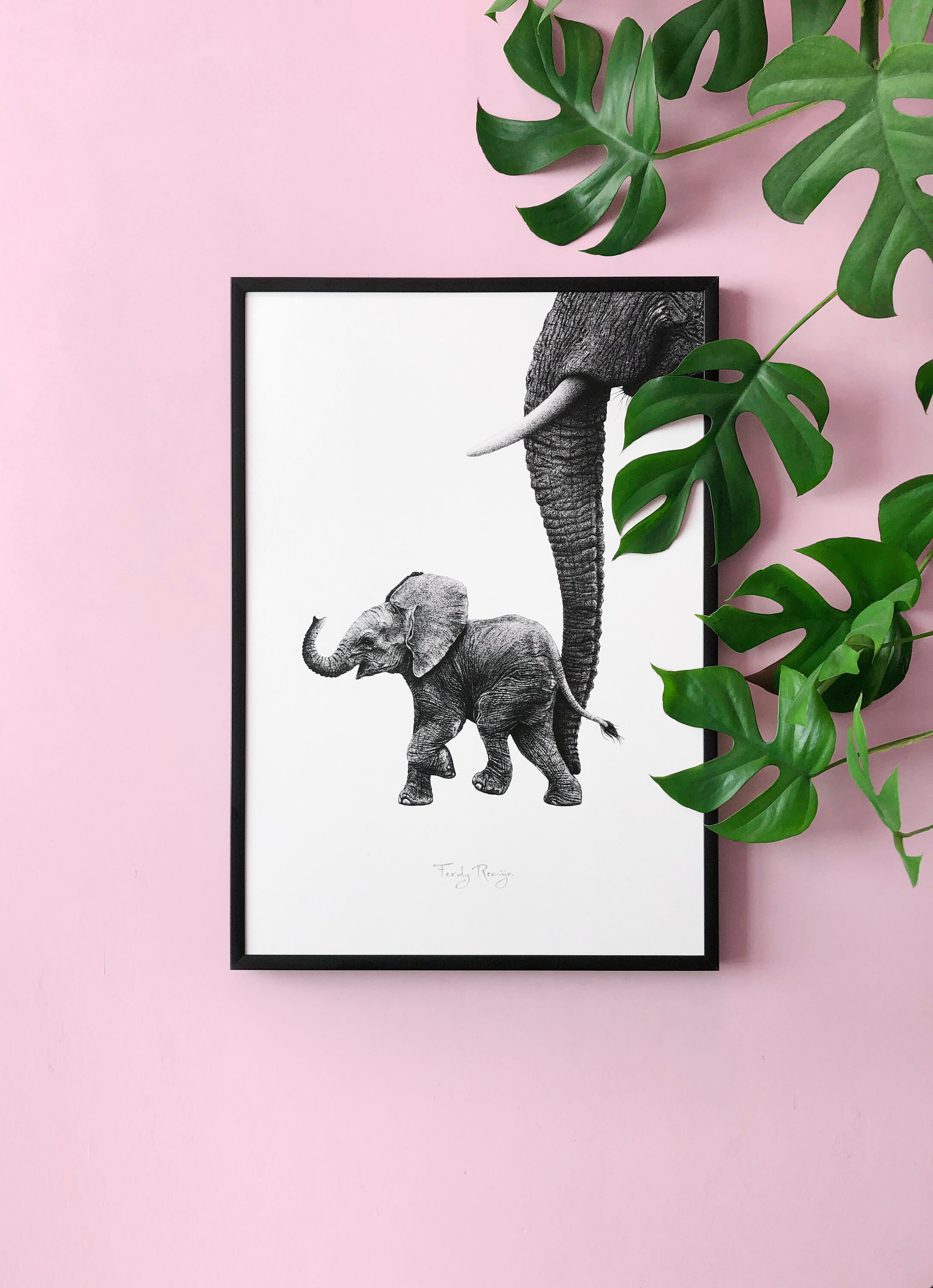 African Baby Elephant A3 Art Print - Etsy