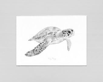 Sea turtle - A3 art print