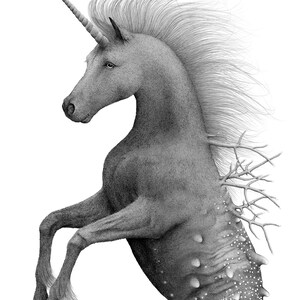 Sea unicorn A3 art print image 3