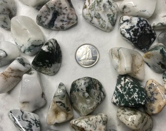 May include: A collection of polished moss agate stones in various shapes and sizes. The stones display a mix of white, green, and brown patterns. A Canadian quarter coin is in the center of the stones.