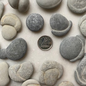 Fairy Stone X-SMALL