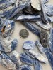 Blue Kyanite 'E Quality' SMALL Blades Crystal (Includes 10 grams) 