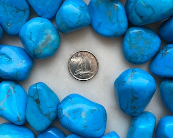 Howlite Turquoise (Dyed) Tumbled Crystal Stone