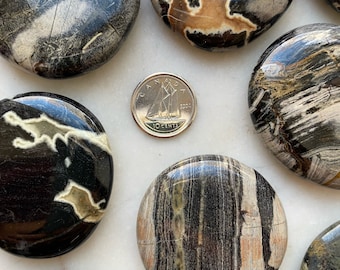 Silver Leaf Jasper Etsy
