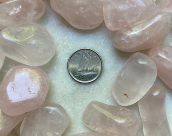 Rose Quartz "E QUALITY" X-SMALL Tumbled Crystal Stone