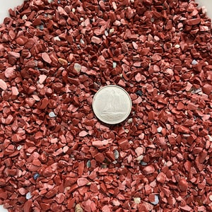 Geplette rode jaspis (inclusief 10 gram)
