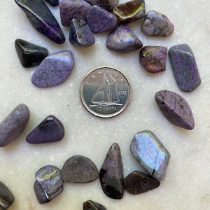 May include: A collection of purple and gray tumbled stones, some with white and brown markings. The stones are arranged around a Canadian 10-cent coin dated 2012.