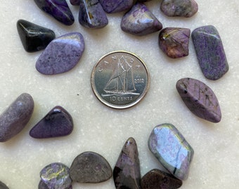 Sugilite "A Quality" TINY Tumbled Crystals (Includes 5 grams)