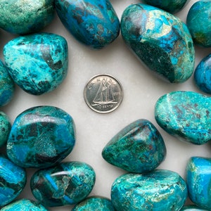 Chrysocolla MEDIUM Tumbled Crystal